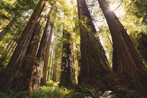 How to Heal Your Trauma: Courageous Ways to Turn Pain Into Power (Part 1)